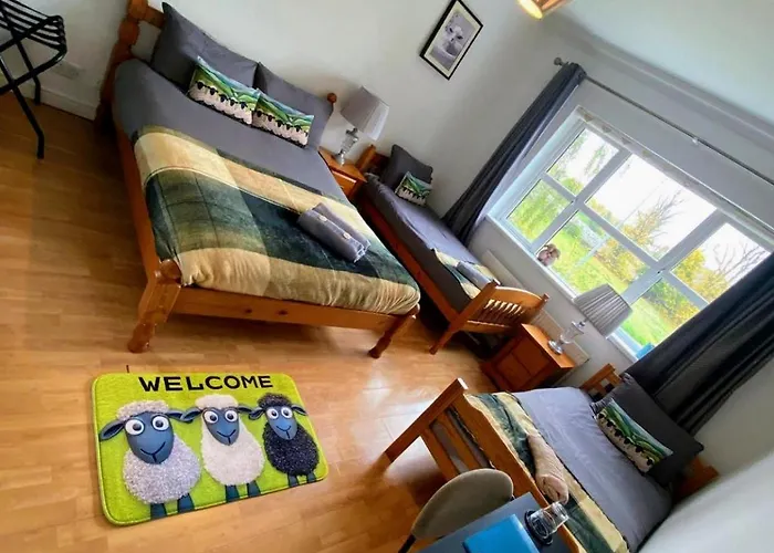 Gra Bed and breakfast Athy